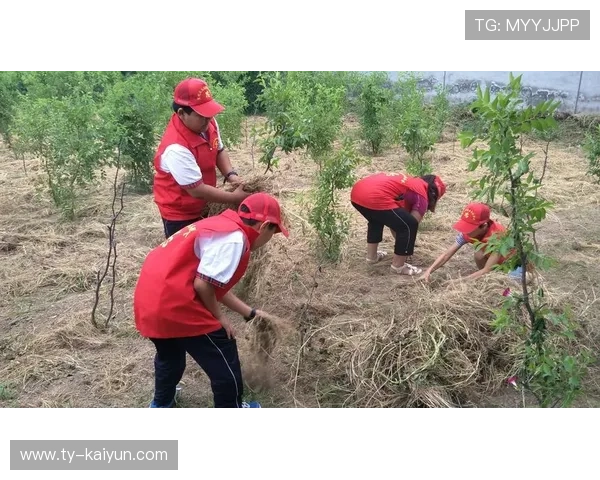 赫罗纳拟引进一名能在高位参与组织的攻击手 赫罗纳拟引进一名能在高位参与组织的攻击手
