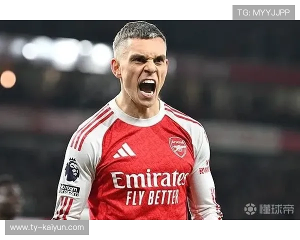 阿森纳特罗萨德灵活移动 阿森纳特罗萨德灵活移动